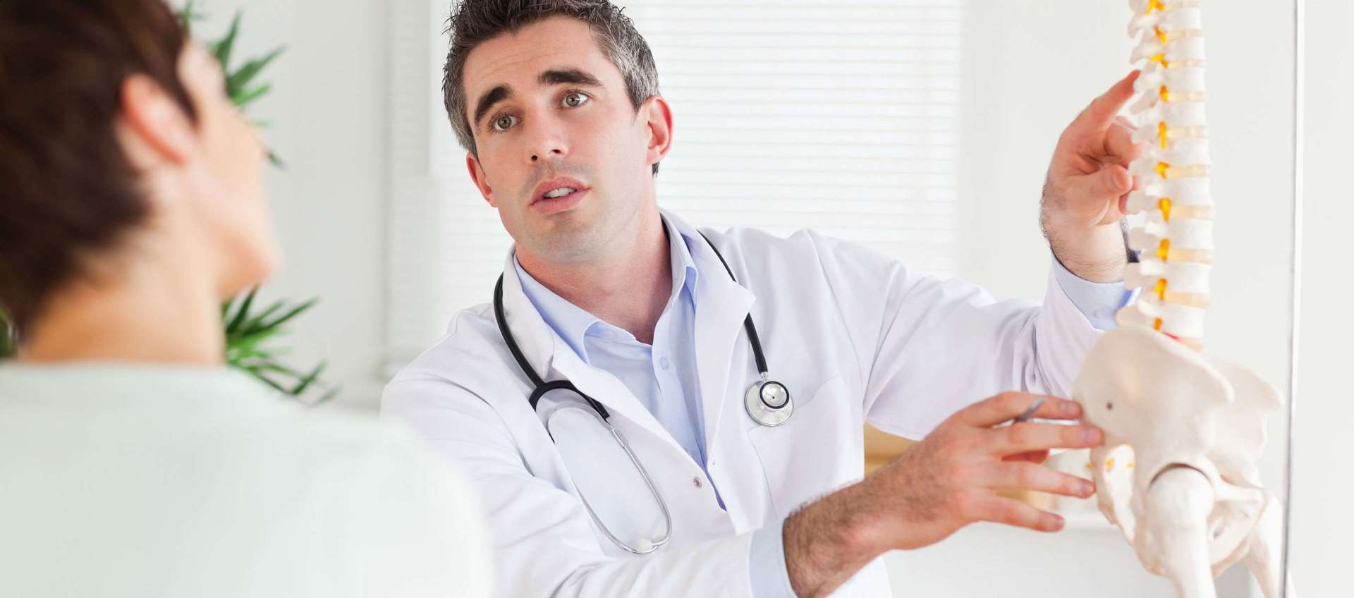 Chiropractor Chiropractor